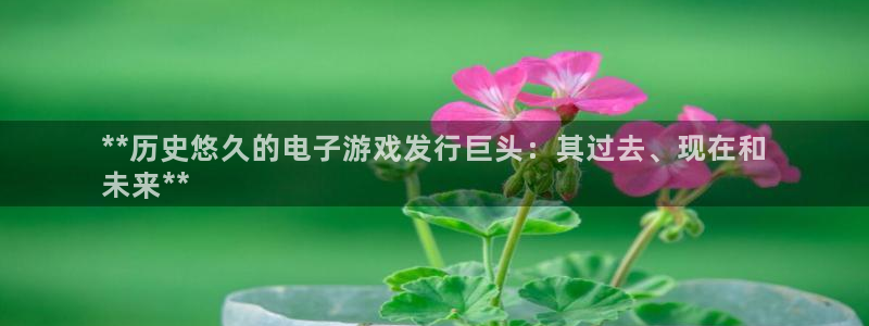新城平台是干嘛的