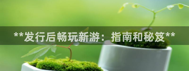 新城平台登录密码忘了怎么办