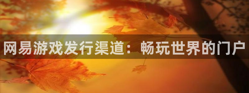 新城平台是干嘛的公司啊