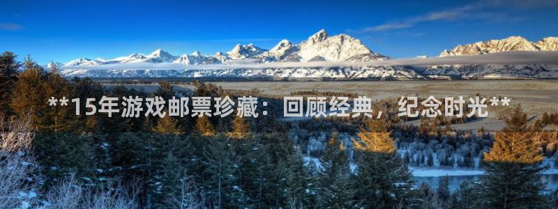 新城平台注册流程视频