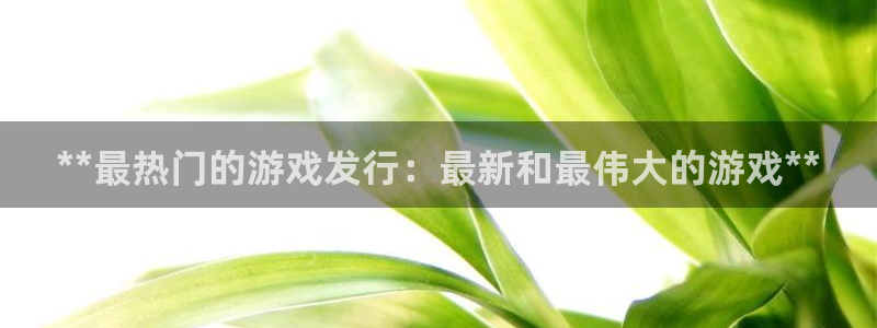 新城平台线路登录不上去怎么回事呢