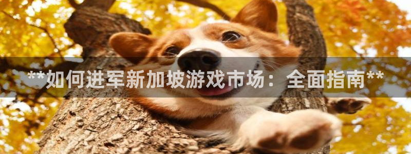 新城平台注册公司流程及费用