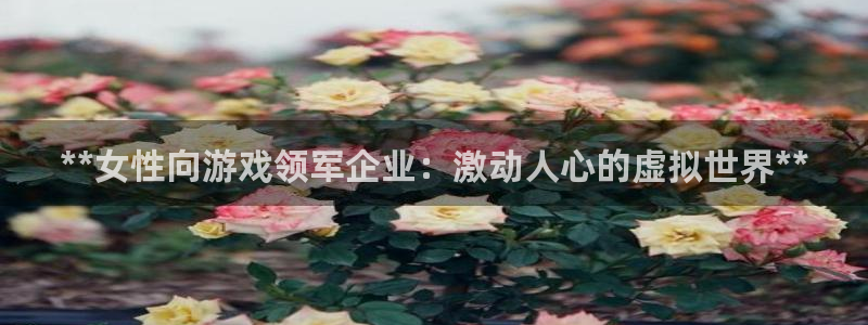 新城平台官网首页入口