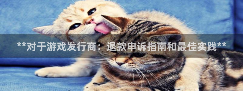 新城平台登录密码忘了怎么找回