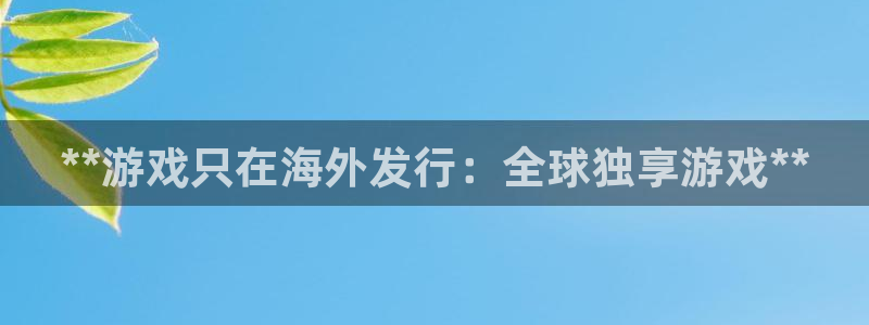 新城平台登录入口官网查询信息