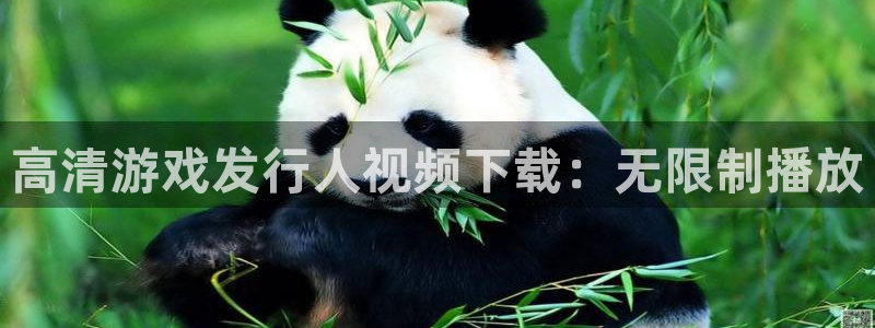 新城平台注册资金多少合适