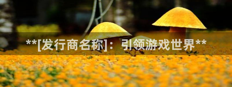 新城平台线路登录不上去怎么回事呢
