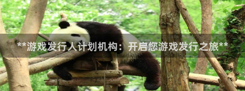 新城平台登录入口