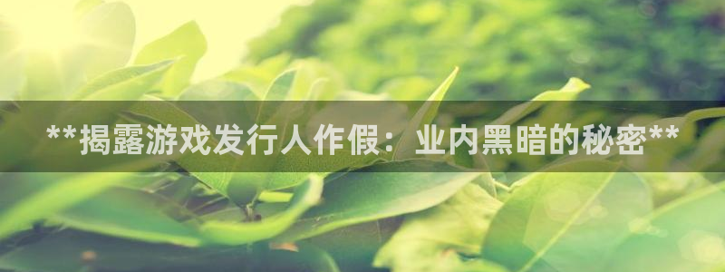 新城平台代理怎么做