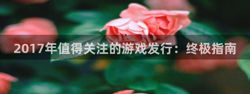 新城平台线路登录不上去