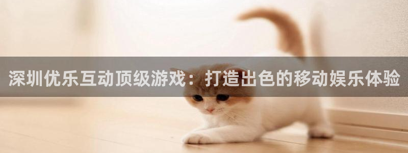 新城平台代理怎么样