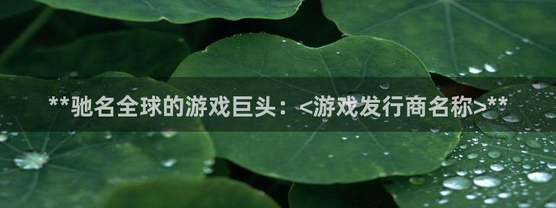 新城平台新注册