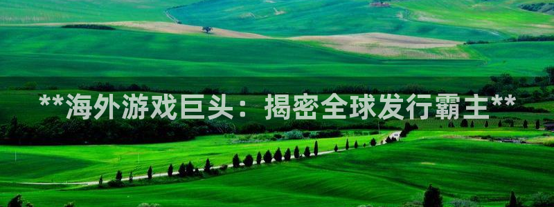 新城平台登录密码忘了怎么找回
