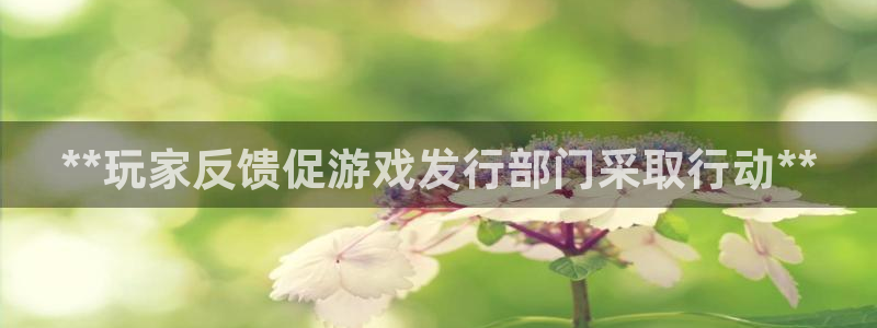 新城平台注册公司流程视频