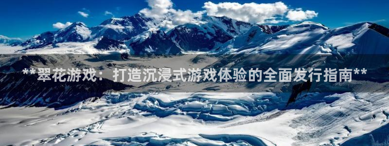 新城平台注册登录地址