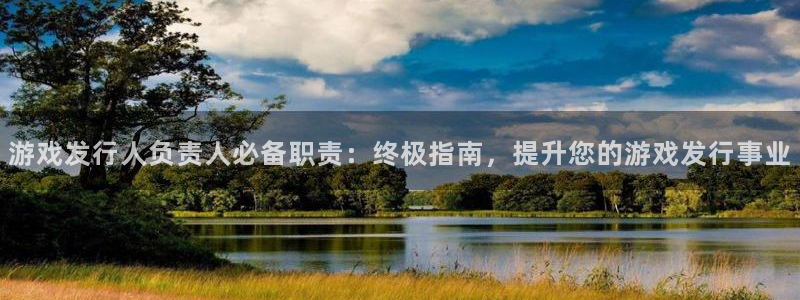 新城平台是干嘛的公司