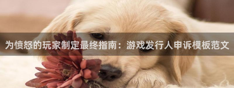新城平台官网首页网址