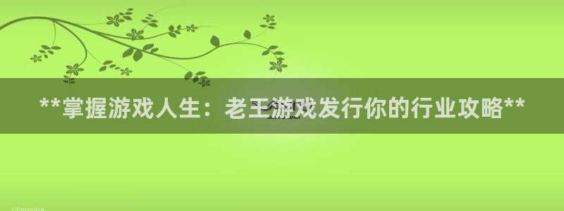 新城平台注册流程及费用