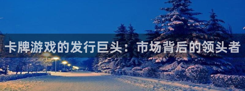 新城平台代理