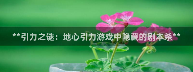 新城平台企业信息查询