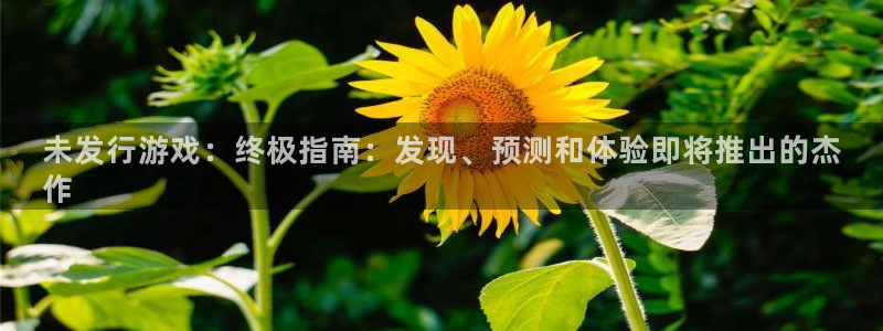 新城平台注册公司流程图