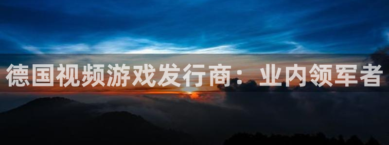 新城平台总代