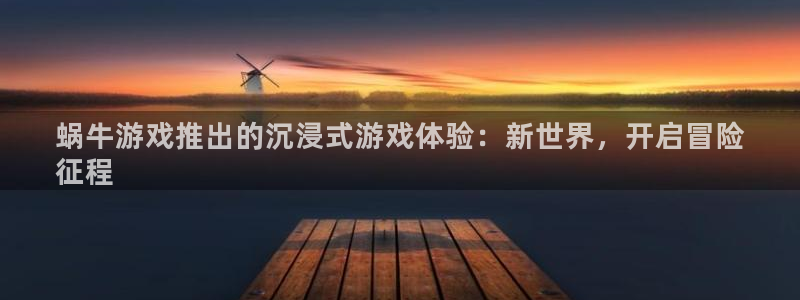 新城平台是干嘛的公司啊