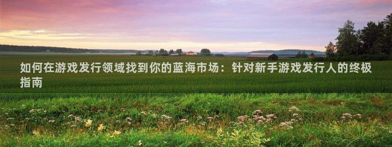 新城平台注册资金多少