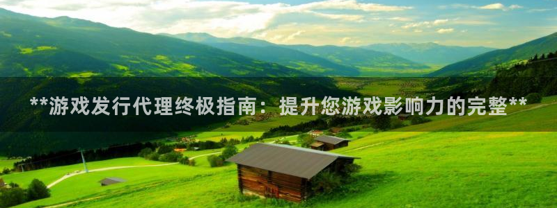 新城平台是干嘛的