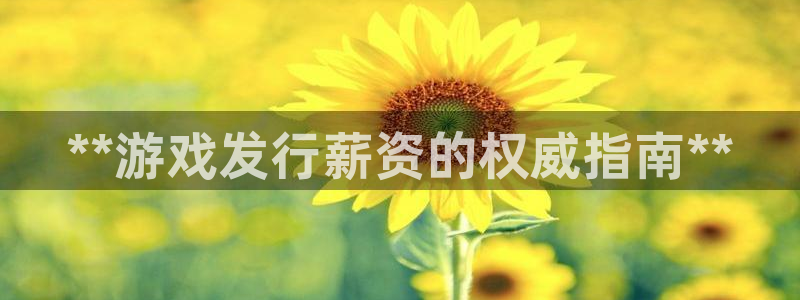 新城平台负责人