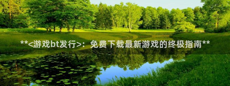 新城平台是干嘛的公司啊