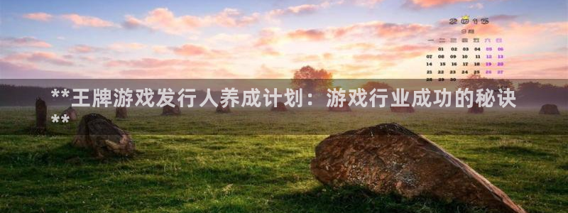 新城平台是正规平台吗