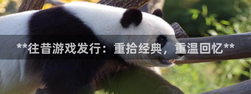 新城平台负责人名单