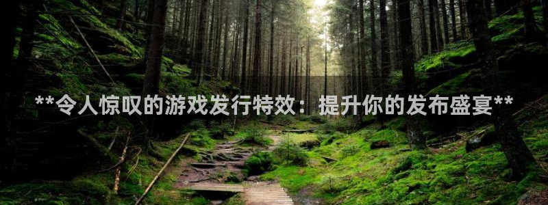 新城平台注册公司流程图