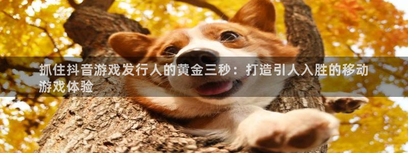 新城平台线路登录不上去怎么回事呢
