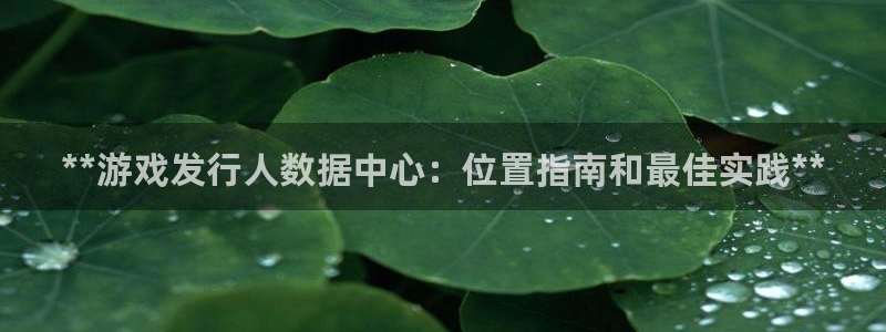 新城平台登录入口官网下载app