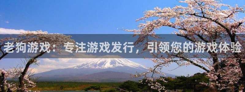 新城平台登陆