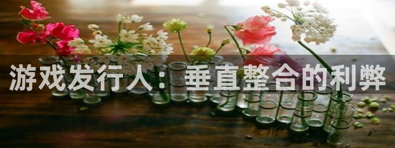 新城平台线路登录不上去怎么回事