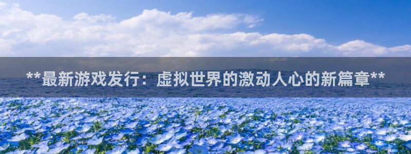 新城平台代理注册公司