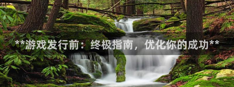 新城平台注册网址查询