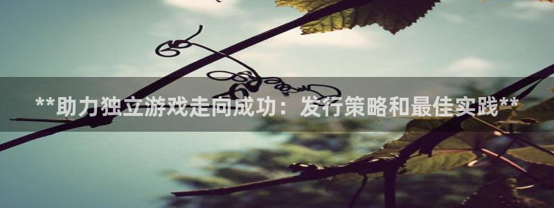 新城平台线路登录不上去了怎么回事：**助力独立游戏走向成功：发行策略和最佳实践**