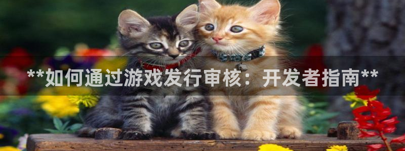 新城平台登录密码忘了怎么办：**如何通过游戏发行审核：开发者指南**