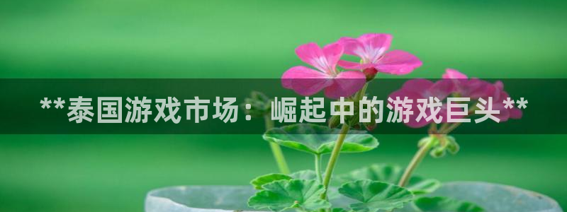新城平台登录密码忘了：**泰国游戏市场：崛起中的游戏巨头**