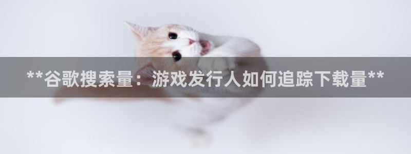 新城平台登录入口官网下载安装：**谷歌搜索量：游戏发行人如何追踪下载量**