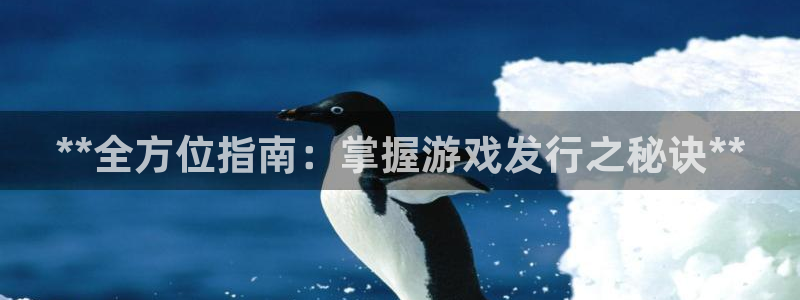 新城平台线路登录不上去怎么回事呢：**全方位指南：掌握游戏发行之秘诀**