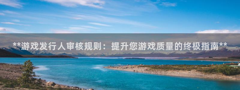 新城平台登录密码忘了：**游戏发行人审核规则：提升您游戏质量的终极指南**