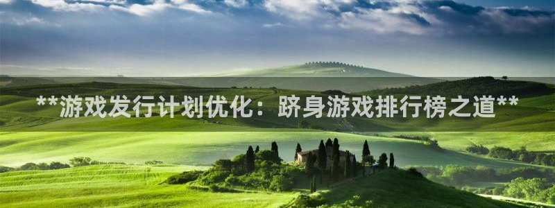 新城平台代理电话：**游戏发行计划优化：跻身游戏排行榜之道**