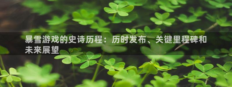 新城平台登录入口官网查询网址：暴雪游戏的史诗历程：历时发布、关键里程碑和
未来展望