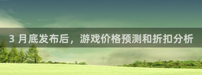 新城平台公司