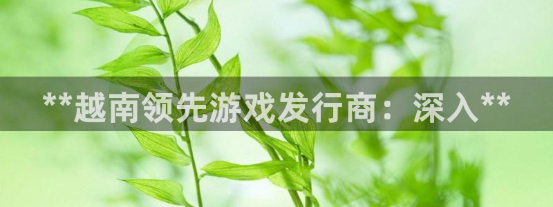 新城平台登录入口官网下载安装：**越南领先游戏发行商：深入**